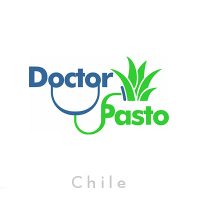 Diseño-Grafico-Logos-Chile-DrPasto