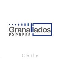 Diseño-Grafico-Logos-Chile-Granallados-Express